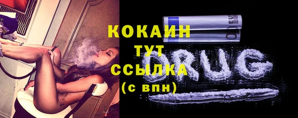 стаф Абинск