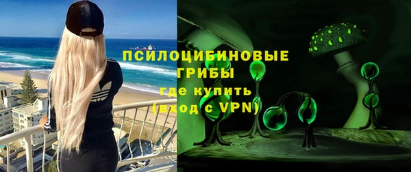 мет Ельня