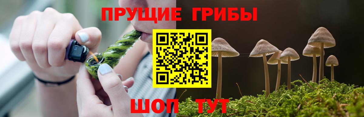 Галлюциногенные грибы мицелий Сарапул