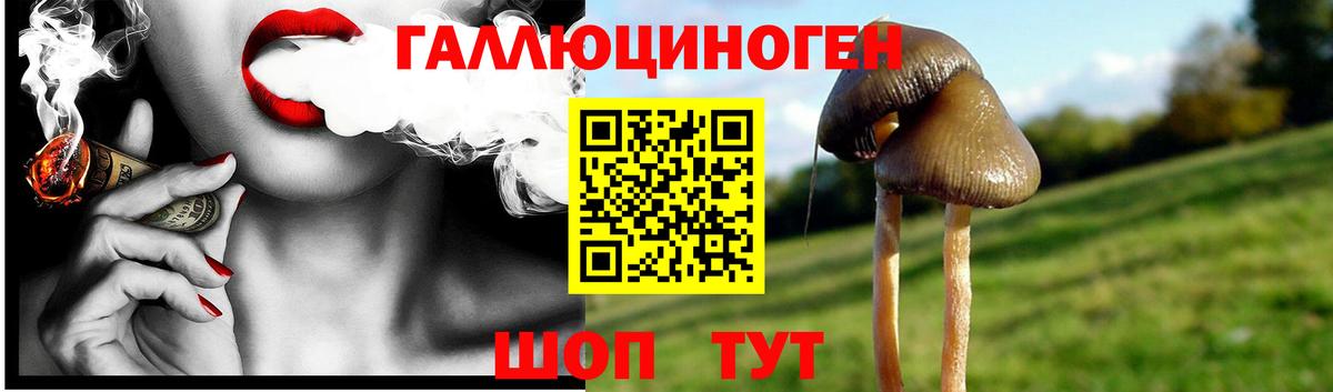 Галлюциногенные грибы прущие грибы  Галлюциногенные грибы Magic Shrooms  Сарапул  Вход с VPN 